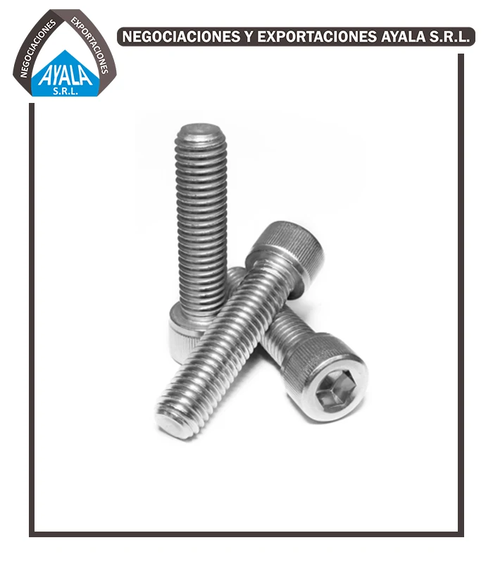 Pernos socket INOXidable 304