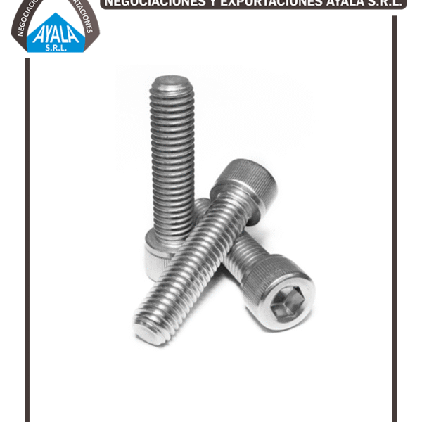 PERNOS SOCKET INOXIDABLE 304