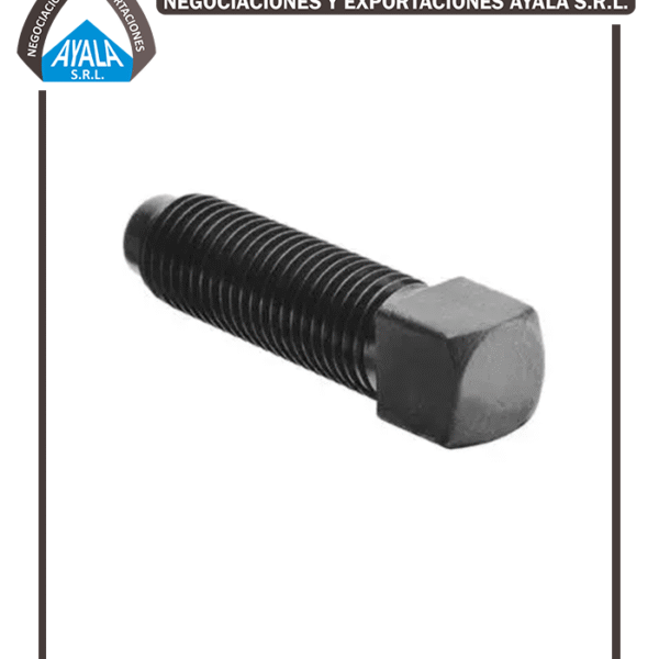 PRISIONERO CABEZA CUADRADA